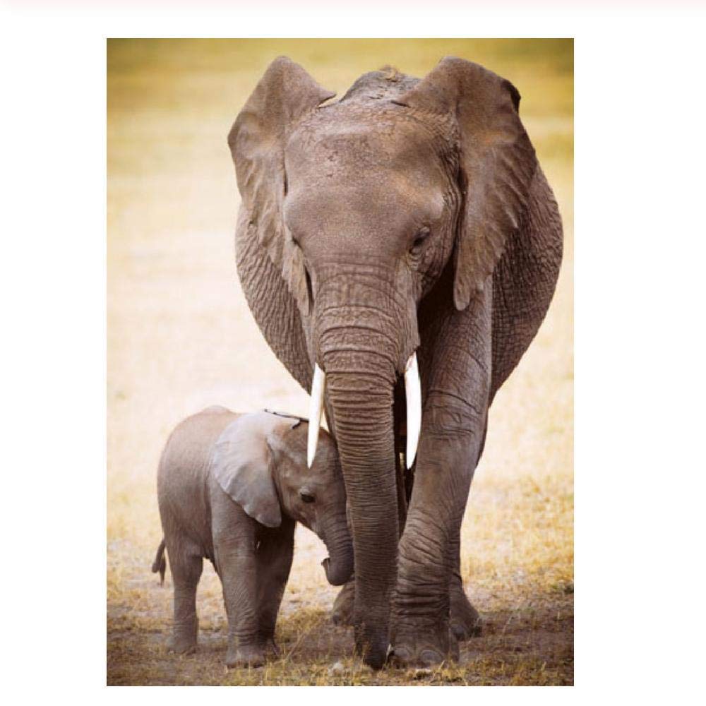 Amazon.co.jp: 200ピース木製ジグソーパズル 象と赤ちゃん象大人子供の